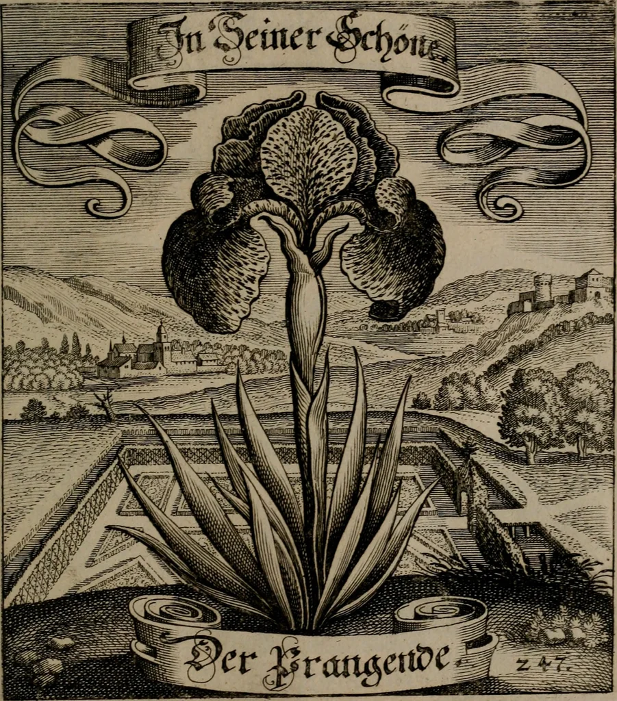 An illustration from Der Fruchtbringenden Geselschaft Nahmen, Vorhaben, Gemählde und Wörter : nach jedes Einnahme ordentlich in Kupfer gestochen, und in achtzeilige Reimgesetze verfasset, 1646, leaf 512