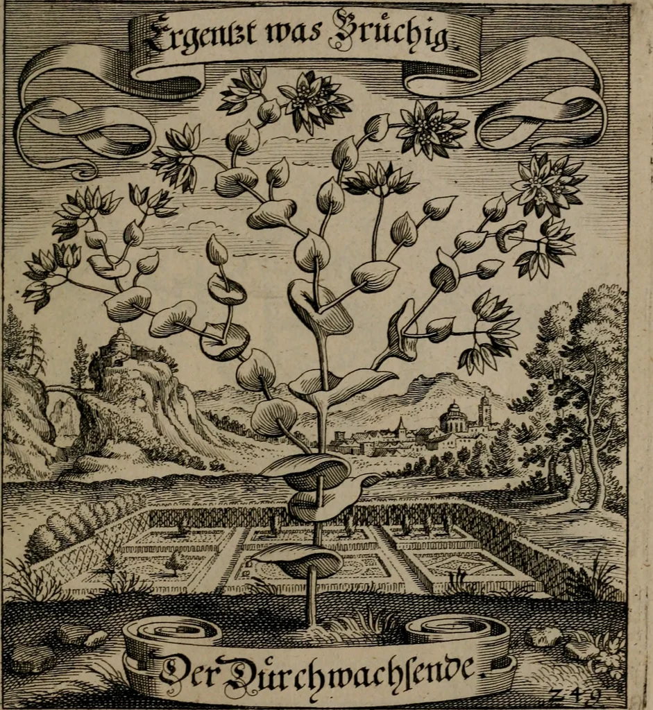 An illustration from Der Fruchtbringenden Geselschaft Nahmen, Vorhaben, Gemählde und Wörter : nach jedes Einnahme ordentlich in Kupfer gestochen, und in achtzeilige Reimgesetze verfasset, 1646, leaf 516