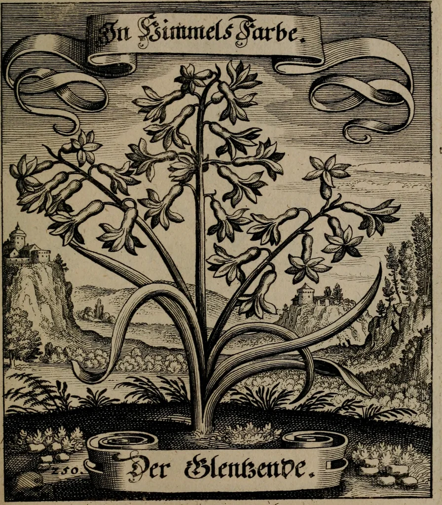 An illustration from Der Fruchtbringenden Geselschaft Nahmen, Vorhaben, Gemählde und Wörter : nach jedes Einnahme ordentlich in Kupfer gestochen, und in achtzeilige Reimgesetze verfasset, 1646, leaf 518