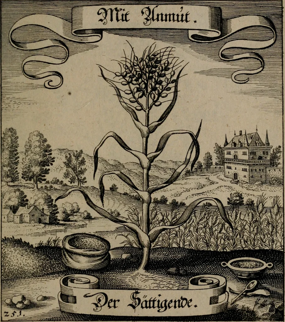 An illustration from Der Fruchtbringenden Geselschaft Nahmen, Vorhaben, Gemählde und Wörter : nach jedes Einnahme ordentlich in Kupfer gestochen, und in achtzeilige Reimgesetze verfasset, 1646, leaf 520