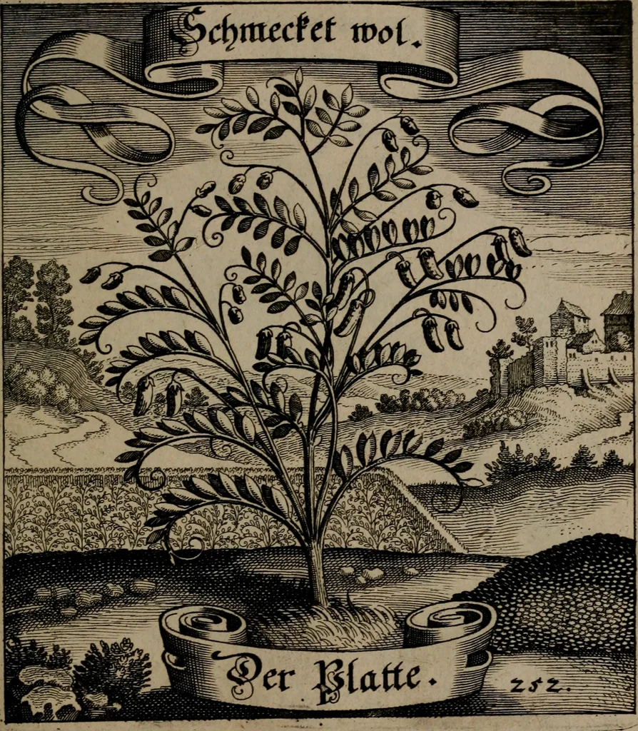 An illustration from Der Fruchtbringenden Geselschaft Nahmen, Vorhaben, Gemählde und Wörter : nach jedes Einnahme ordentlich in Kupfer gestochen, und in achtzeilige Reimgesetze verfasset, 1646, leaf 522