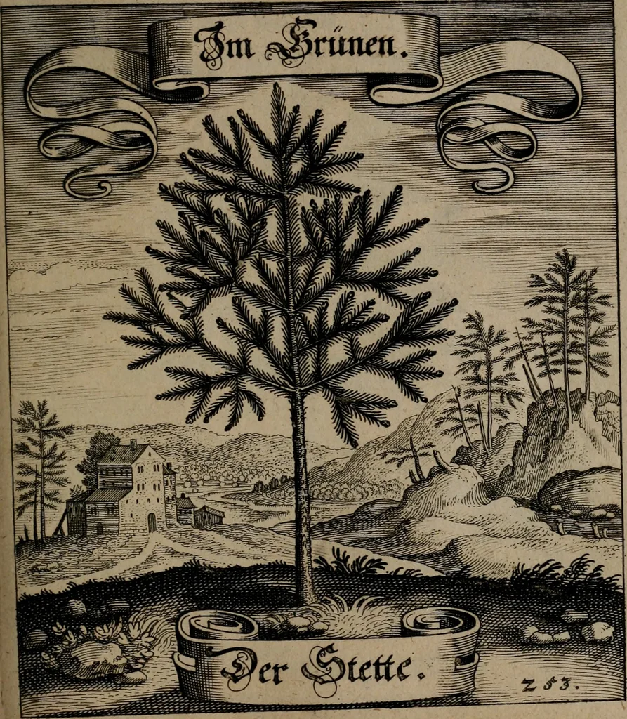 An illustration from Der Fruchtbringenden Geselschaft Nahmen, Vorhaben, Gemählde und Wörter : nach jedes Einnahme ordentlich in Kupfer gestochen, und in achtzeilige Reimgesetze verfasset, 1646, leaf 524