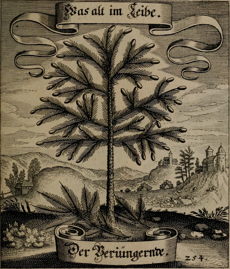 An illustration from Der Fruchtbringenden Geselschaft Nahmen, Vorhaben, Gemählde und Wörter : nach jedes Einnahme ordentlich in Kupfer gestochen, und in achtzeilige Reimgesetze verfasset, 1646, leaf 526