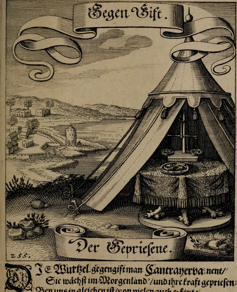 An illustration from Der Fruchtbringenden Geselschaft Nahmen, Vorhaben, Gemählde und Wörter : nach jedes Einnahme ordentlich in Kupfer gestochen, und in achtzeilige Reimgesetze verfasset, 1646, leaf 528