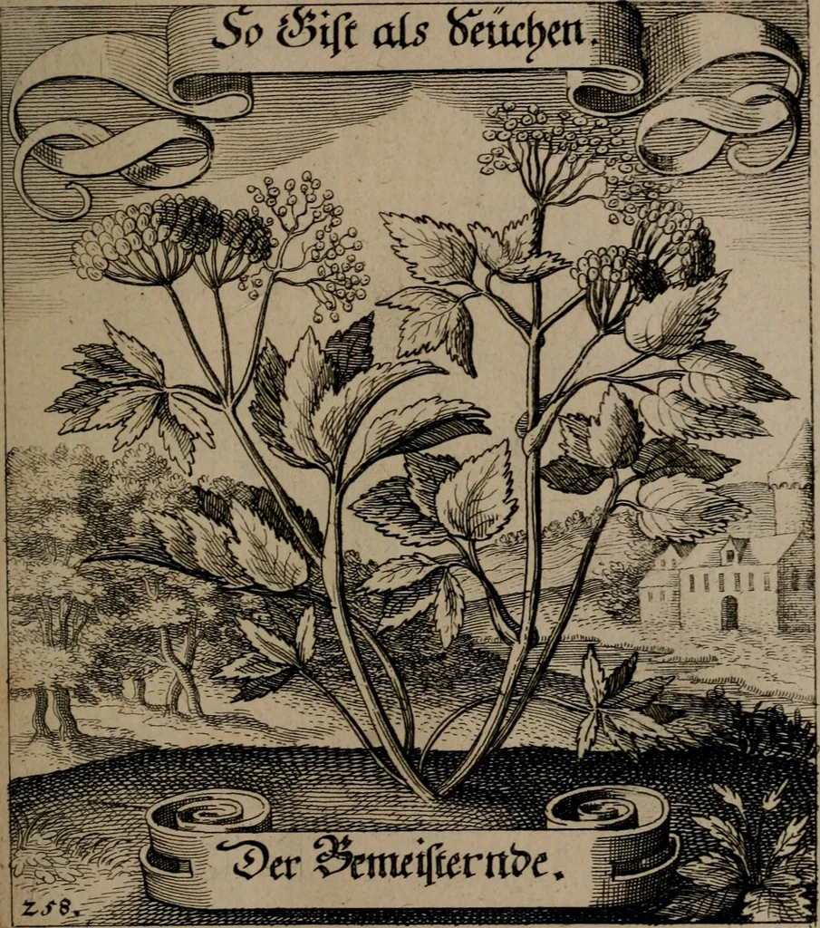 An illustration from Der Fruchtbringenden Geselschaft Nahmen, Vorhaben, Gemählde und Wörter : nach jedes Einnahme ordentlich in Kupfer gestochen, und in achtzeilige Reimgesetze verfasset, 1646, leaf 534