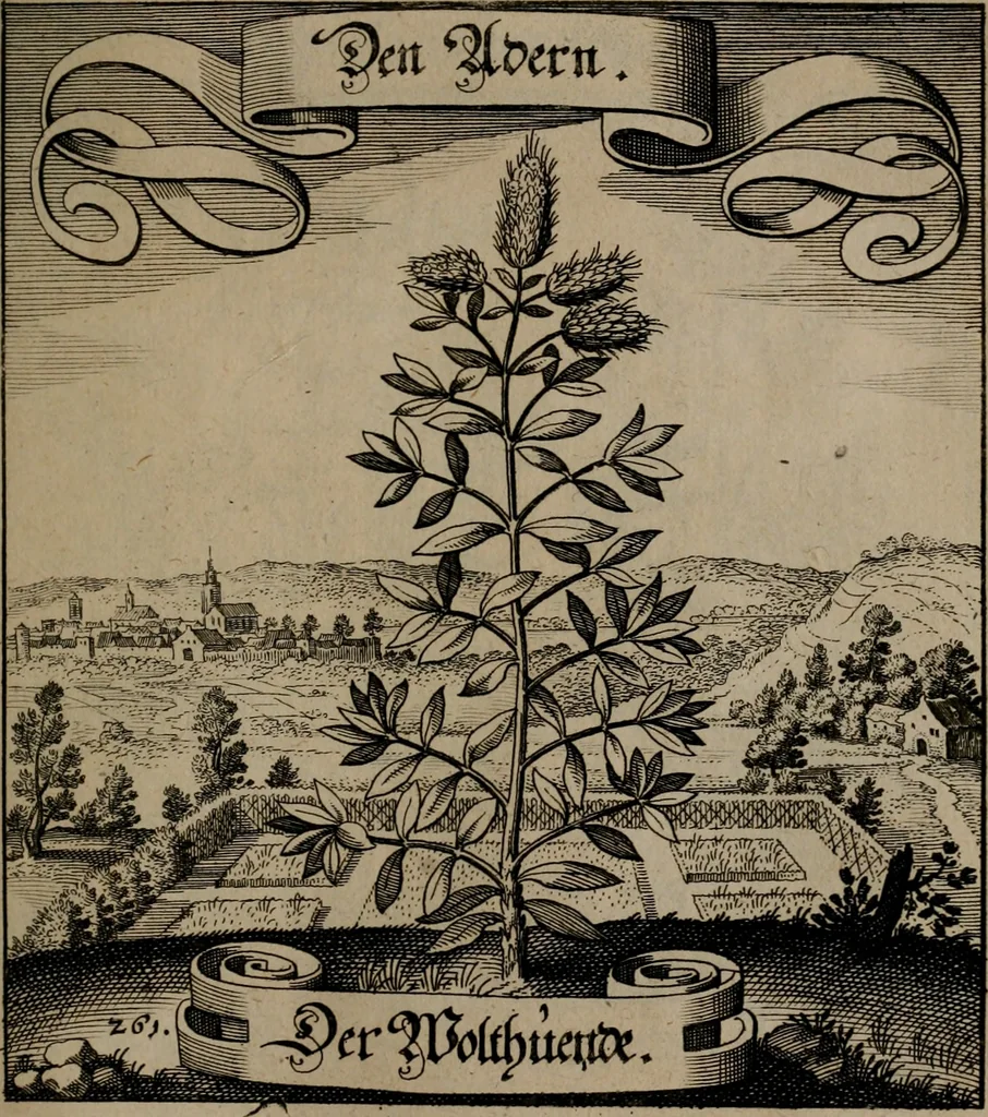 An illustration from Der Fruchtbringenden Geselschaft Nahmen, Vorhaben, Gemählde und Wörter : nach jedes Einnahme ordentlich in Kupfer gestochen, und in achtzeilige Reimgesetze verfasset, 1646, leaf 540