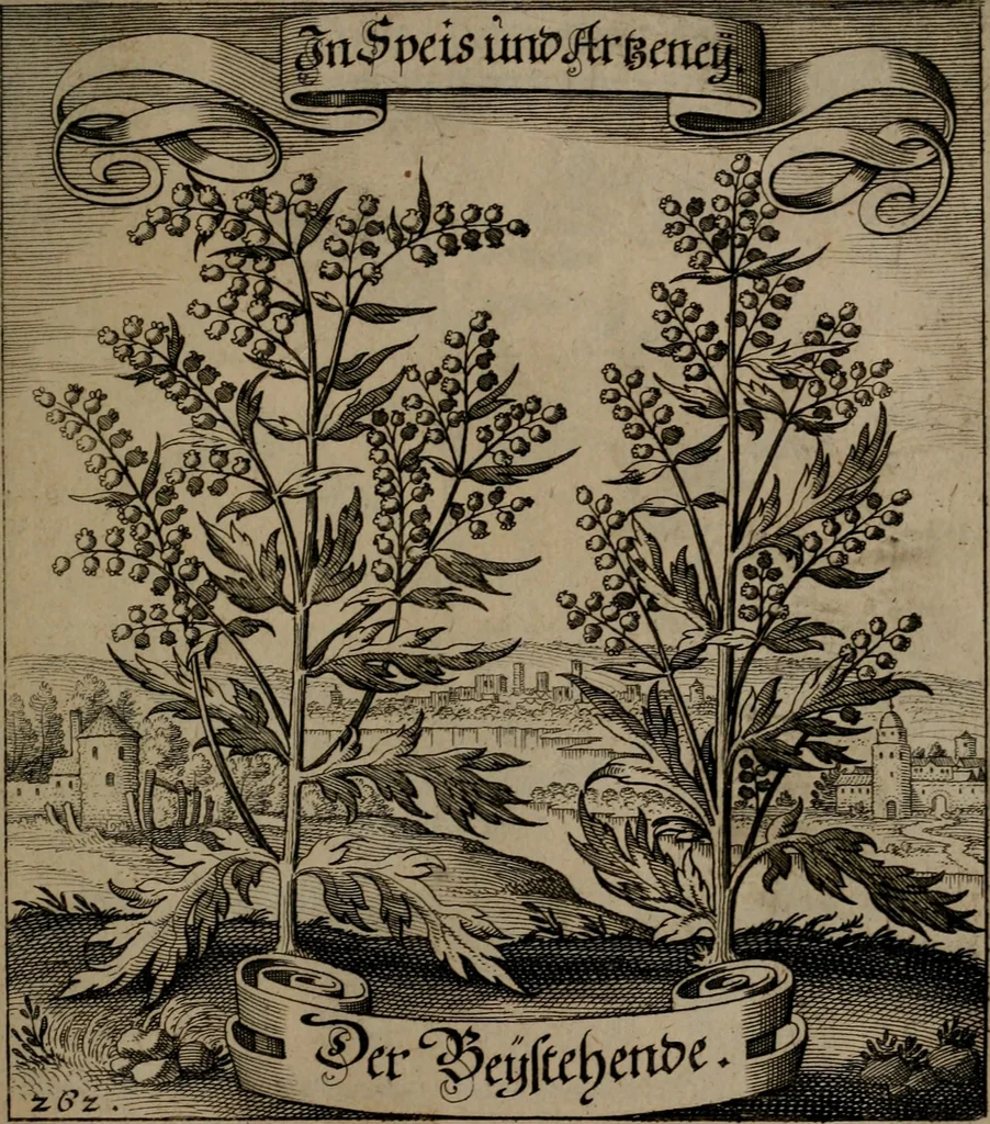 An illustration from Der Fruchtbringenden Geselschaft Nahmen, Vorhaben, Gemählde und Wörter : nach jedes Einnahme ordentlich in Kupfer gestochen, und in achtzeilige Reimgesetze verfasset, 1646, leaf 542