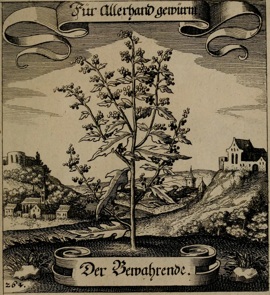 An illustration from Der Fruchtbringenden Geselschaft Nahmen, Vorhaben, Gemählde und Wörter : nach jedes Einnahme ordentlich in Kupfer gestochen, und in achtzeilige Reimgesetze verfasset, 1646, leaf 546