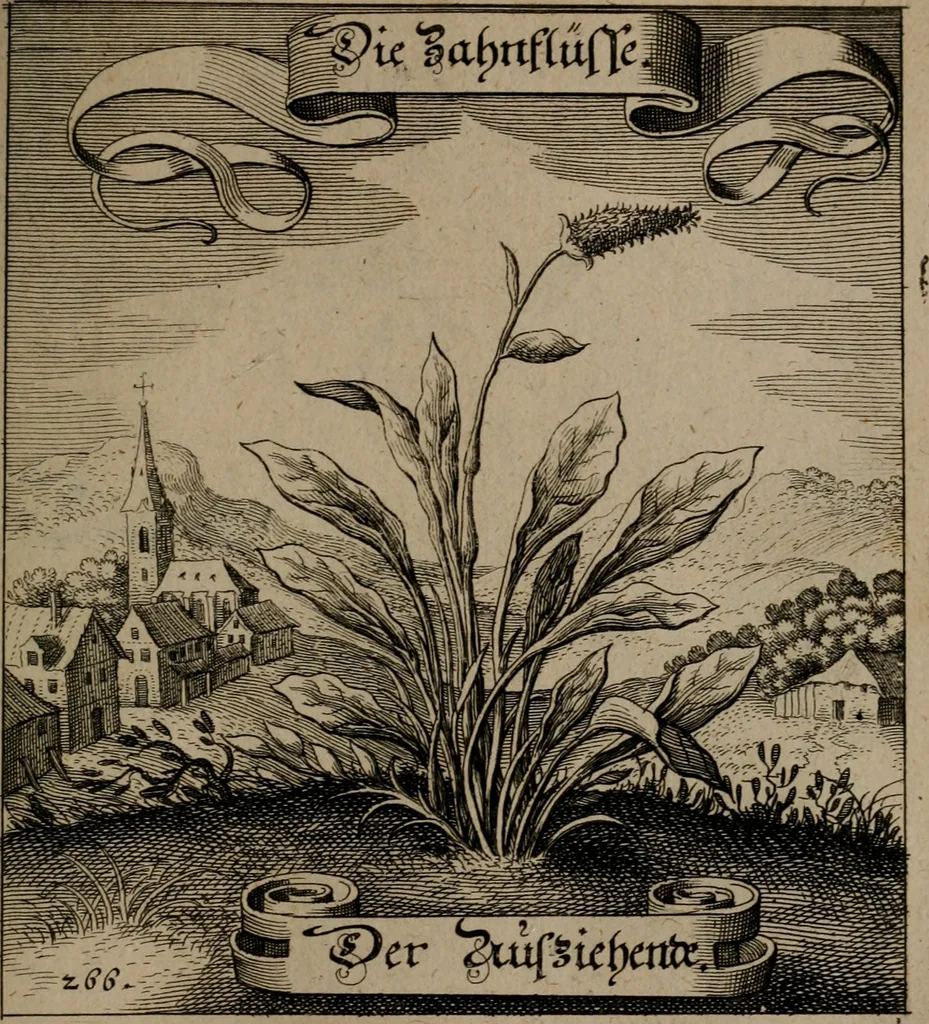 An illustration from Der Fruchtbringenden Geselschaft Nahmen, Vorhaben, Gemählde und Wörter : nach jedes Einnahme ordentlich in Kupfer gestochen, und in achtzeilige Reimgesetze verfasset, 1646, leaf 550
