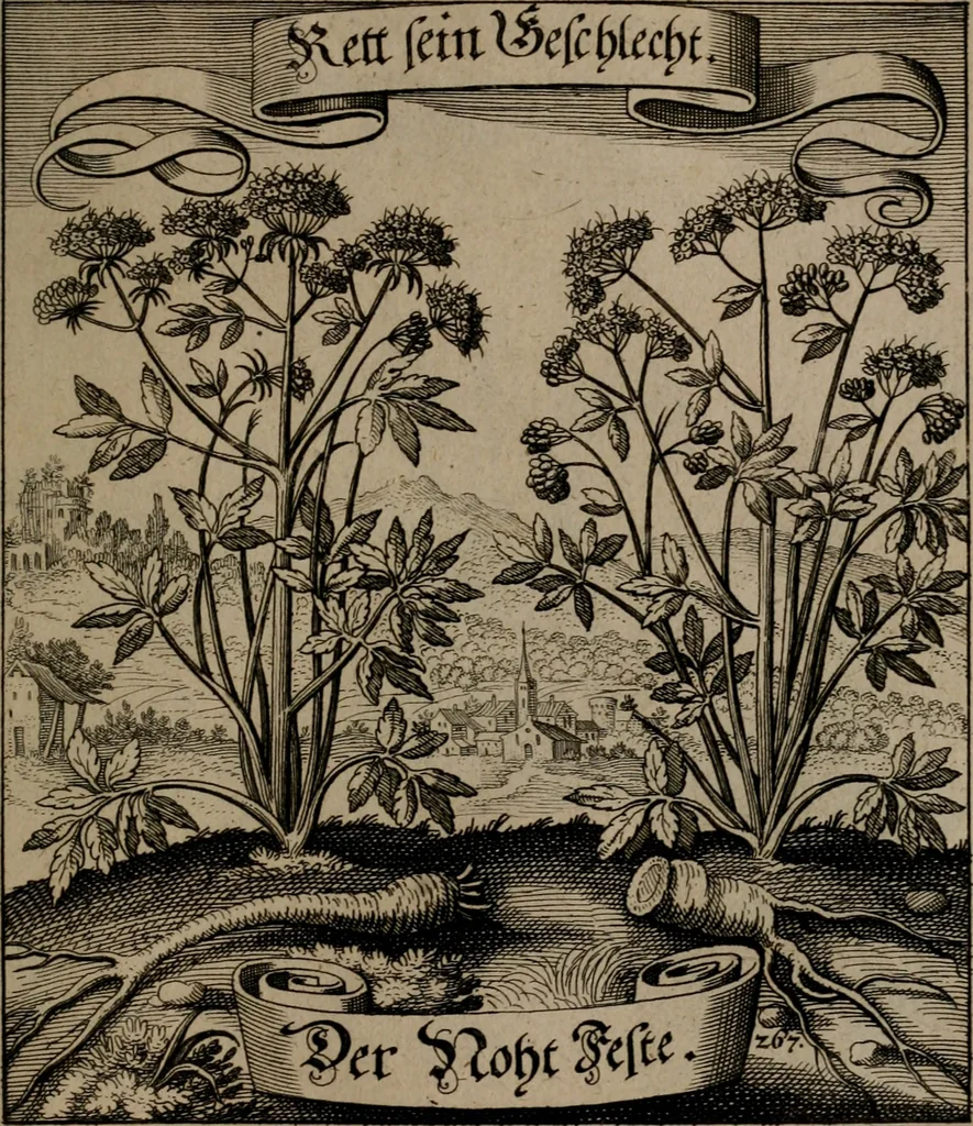 An illustration from Der Fruchtbringenden Geselschaft Nahmen, Vorhaben, Gemählde und Wörter : nach jedes Einnahme ordentlich in Kupfer gestochen, und in achtzeilige Reimgesetze verfasset, 1646, leaf 552