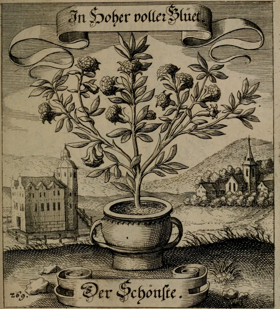 An illustration from Der Fruchtbringenden Geselschaft Nahmen, Vorhaben, Gemählde und Wörter : nach jedes Einnahme ordentlich in Kupfer gestochen, und in achtzeilige Reimgesetze verfasset, 1646, leaf 556