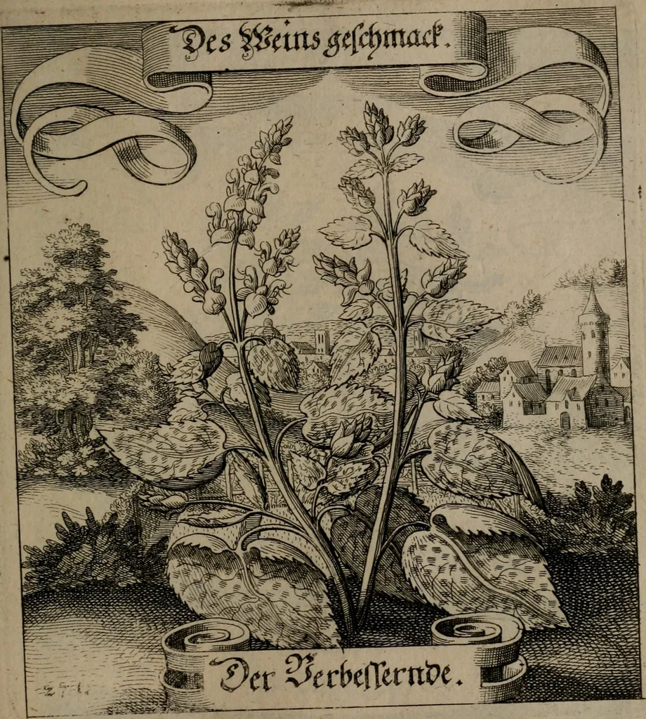 An illustration from Der Fruchtbringenden Geselschaft Nahmen, Vorhaben, Gemählde und Wörter : nach jedes Einnahme ordentlich in Kupfer gestochen, und in achtzeilige Reimgesetze verfasset, 1646, leaf 560