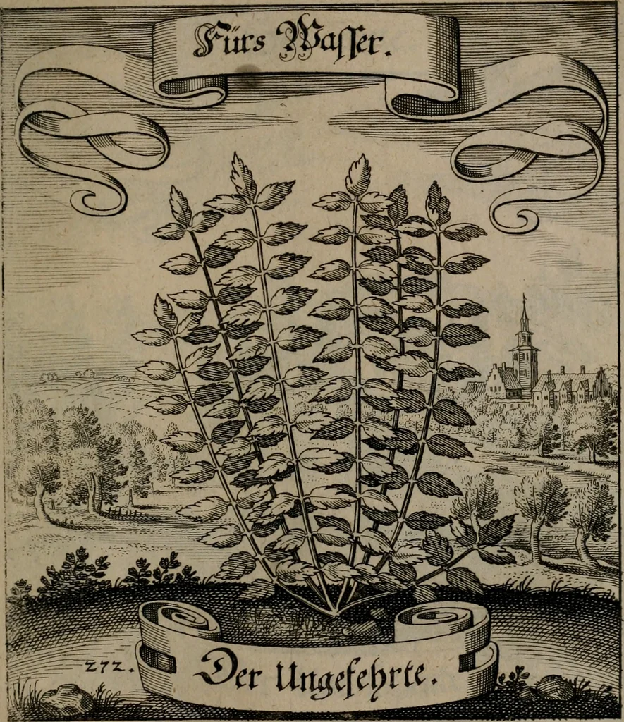 An illustration from Der Fruchtbringenden Geselschaft Nahmen, Vorhaben, Gemählde und Wörter : nach jedes Einnahme ordentlich in Kupfer gestochen, und in achtzeilige Reimgesetze verfasset, 1646, leaf 562
