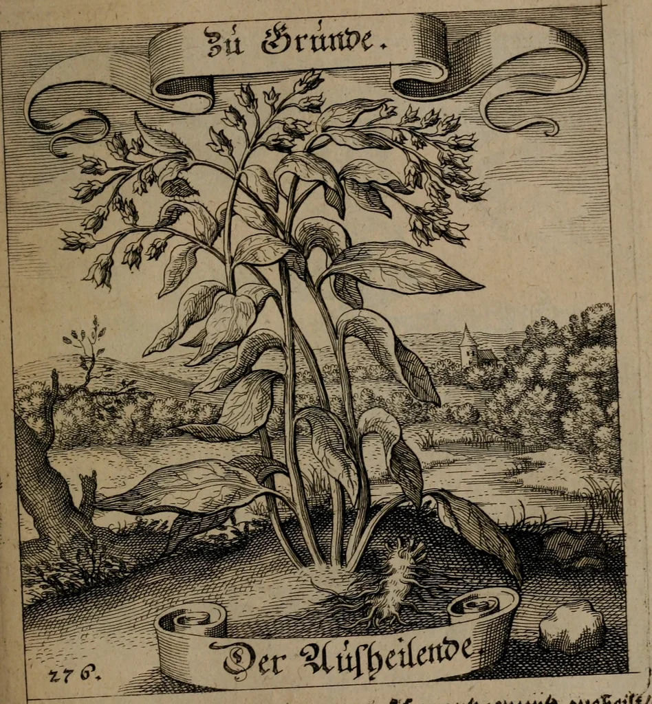 An illustration from Der Fruchtbringenden Geselschaft Nahmen, Vorhaben, Gemählde und Wörter : nach jedes Einnahme ordentlich in Kupfer gestochen, und in achtzeilige Reimgesetze verfasset, 1646, leaf 570