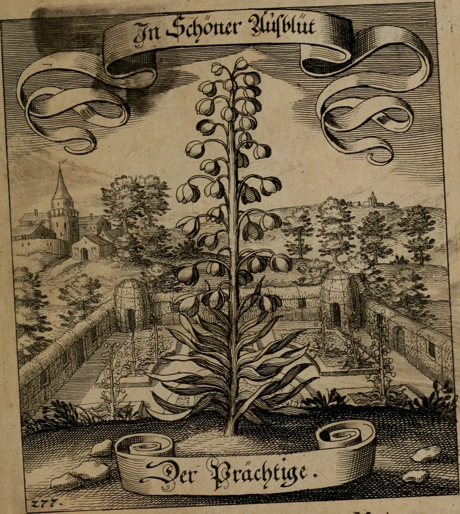 An illustration from Der Fruchtbringenden Geselschaft Nahmen, Vorhaben, Gemählde und Wörter : nach jedes Einnahme ordentlich in Kupfer gestochen, und in achtzeilige Reimgesetze verfasset, 1646, leaf 572