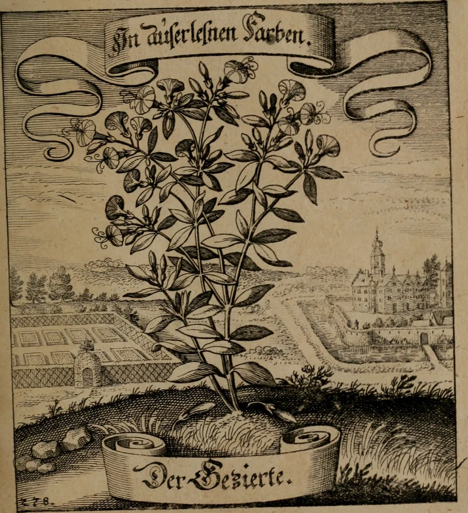 An illustration from Der Fruchtbringenden Geselschaft Nahmen, Vorhaben, Gemählde und Wörter : nach jedes Einnahme ordentlich in Kupfer gestochen, und in achtzeilige Reimgesetze verfasset, 1646, leaf 574