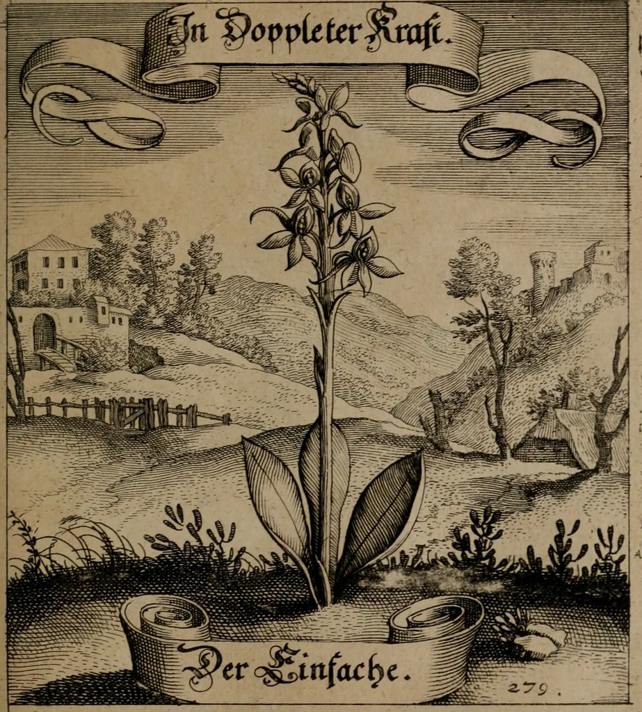 An illustration from Der Fruchtbringenden Geselschaft Nahmen, Vorhaben, Gemählde und Wörter : nach jedes Einnahme ordentlich in Kupfer gestochen, und in achtzeilige Reimgesetze verfasset, 1646, leaf 576