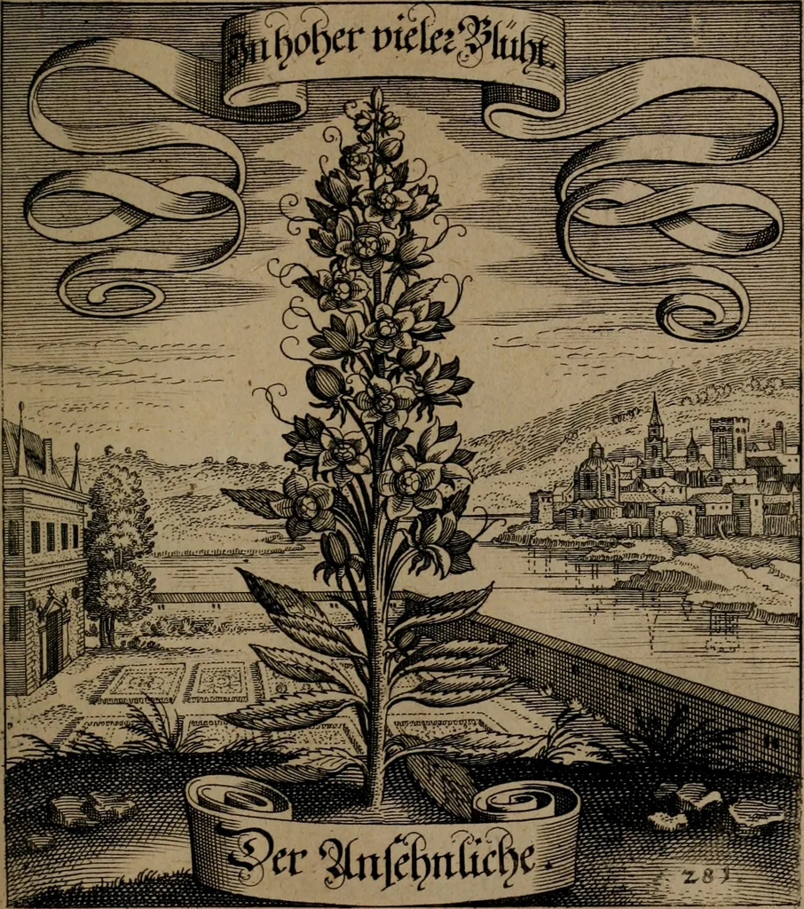 An illustration from Der Fruchtbringenden Geselschaft Nahmen, Vorhaben, Gemählde und Wörter : nach jedes Einnahme ordentlich in Kupfer gestochen, und in achtzeilige Reimgesetze verfasset, 1646, leaf 580