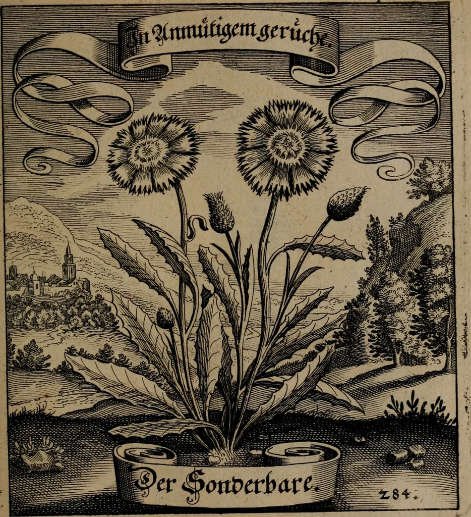 An illustration from Der Fruchtbringenden Geselschaft Nahmen, Vorhaben, Gemählde und Wörter : nach jedes Einnahme ordentlich in Kupfer gestochen, und in achtzeilige Reimgesetze verfasset, 1646, leaf 586