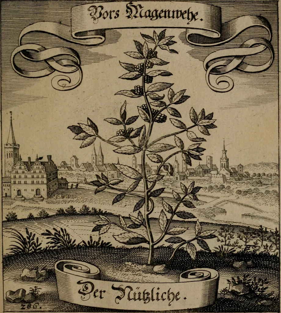 An illustration from Der Fruchtbringenden Geselschaft Nahmen, Vorhaben, Gemählde und Wörter : nach jedes Einnahme ordentlich in Kupfer gestochen, und in achtzeilige Reimgesetze verfasset, 1646, leaf 590
