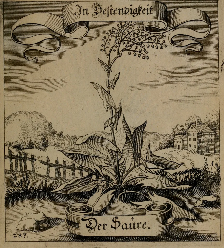 An illustration from Der Fruchtbringenden Geselschaft Nahmen, Vorhaben, Gemählde und Wörter : nach jedes Einnahme ordentlich in Kupfer gestochen, und in achtzeilige Reimgesetze verfasset, 1646, leaf 592