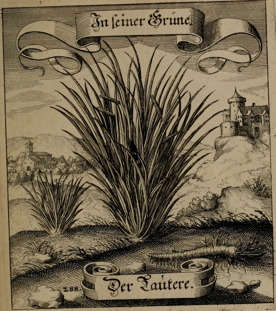 An illustration from Der Fruchtbringenden Geselschaft Nahmen, Vorhaben, Gemählde und Wörter : nach jedes Einnahme ordentlich in Kupfer gestochen, und in achtzeilige Reimgesetze verfasset, 1646, leaf 594