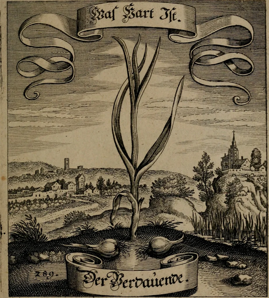 An illustration from Der Fruchtbringenden Geselschaft Nahmen, Vorhaben, Gemählde und Wörter : nach jedes Einnahme ordentlich in Kupfer gestochen, und in achtzeilige Reimgesetze verfasset, 1646, leaf 596