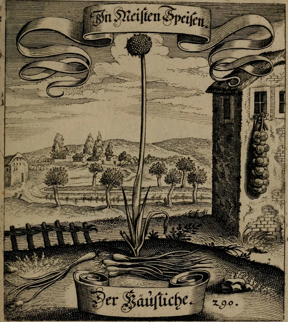 An illustration from Der Fruchtbringenden Geselschaft Nahmen, Vorhaben, Gemählde und Wörter : nach jedes Einnahme ordentlich in Kupfer gestochen, und in achtzeilige Reimgesetze verfasset, 1646, leaf 598