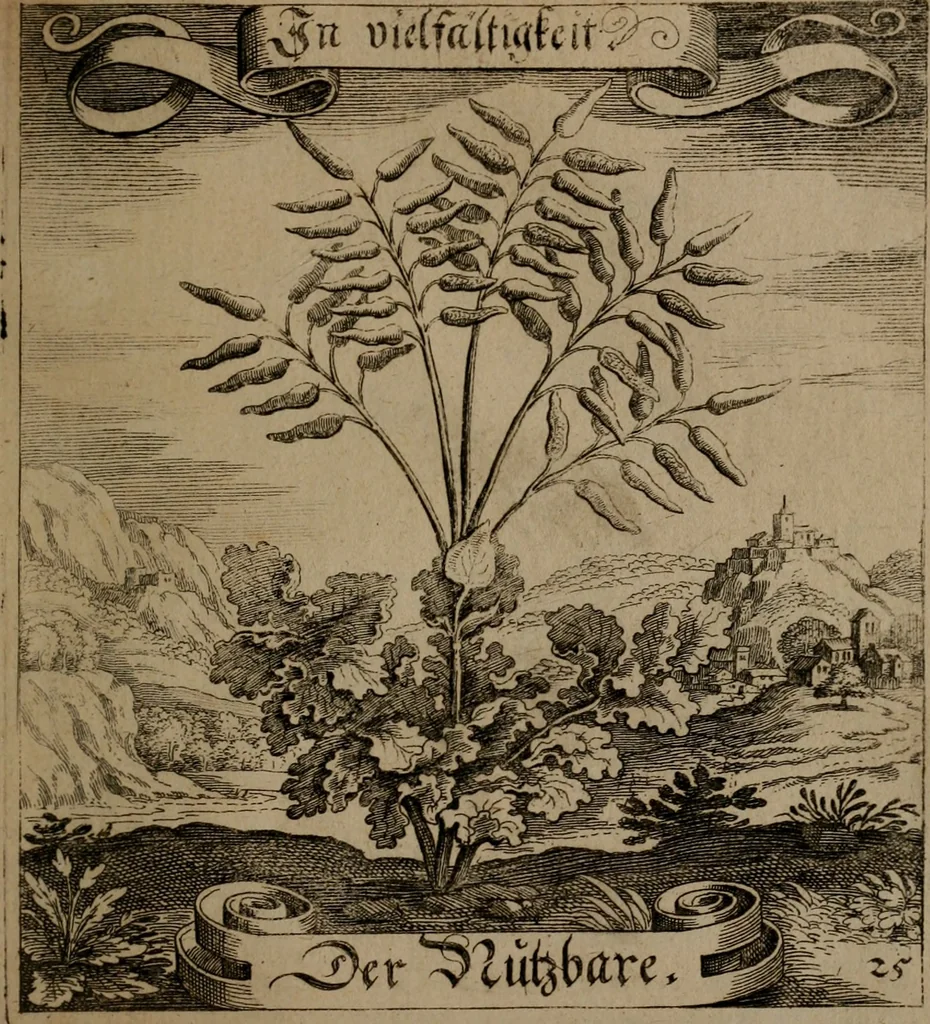 An illustration from Der Fruchtbringenden Geselschaft Nahmen, Vorhaben, Gemählde und Wörter : nach jedes Einnahme ordentlich in Kupfer gestochen, und in achtzeilige Reimgesetze verfasset, 1646, leaf 60