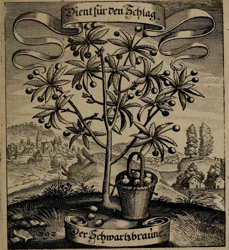 An illustration from Der Fruchtbringenden Geselschaft Nahmen, Vorhaben, Gemählde und Wörter : nach jedes Einnahme ordentlich in Kupfer gestochen, und in achtzeilige Reimgesetze verfasset, 1646, leaf 602