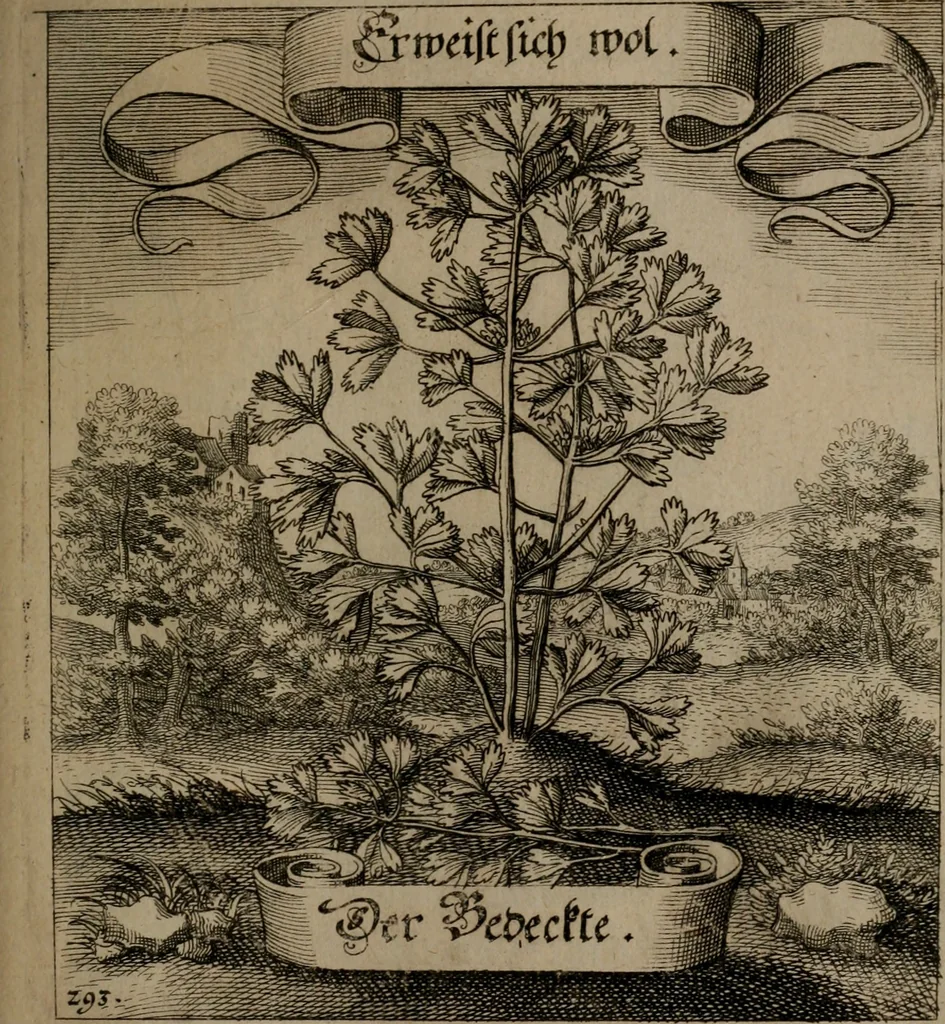 An illustration from Der Fruchtbringenden Geselschaft Nahmen, Vorhaben, Gemählde und Wörter : nach jedes Einnahme ordentlich in Kupfer gestochen, und in achtzeilige Reimgesetze verfasset, 1646, leaf 604
