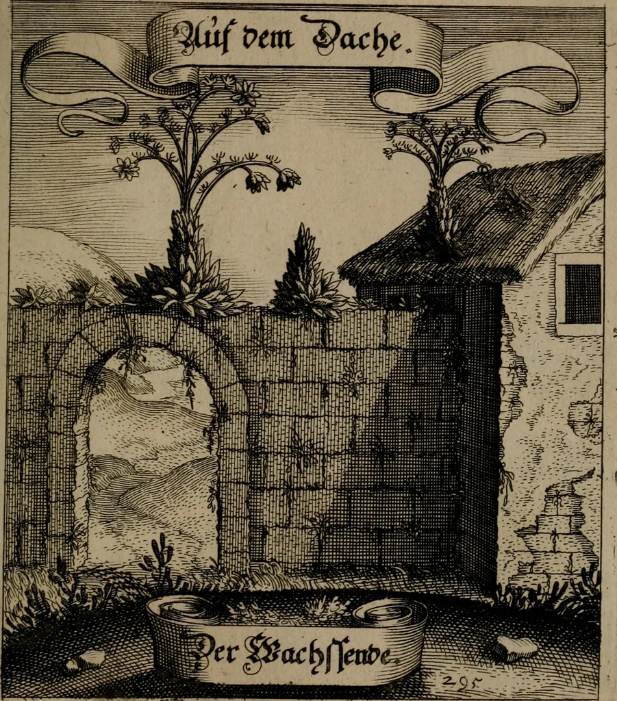 An illustration from Der Fruchtbringenden Geselschaft Nahmen, Vorhaben, Gemählde und Wörter : nach jedes Einnahme ordentlich in Kupfer gestochen, und in achtzeilige Reimgesetze verfasset, 1646, leaf 608
