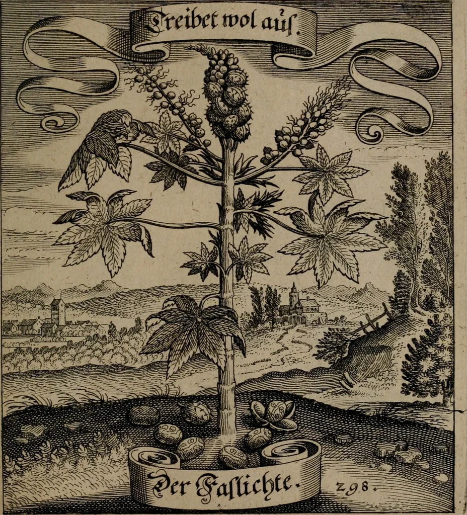 An illustration from Der Fruchtbringenden Geselschaft Nahmen, Vorhaben, Gemählde und Wörter : nach jedes Einnahme ordentlich in Kupfer gestochen, und in achtzeilige Reimgesetze verfasset, 1646, leaf 614