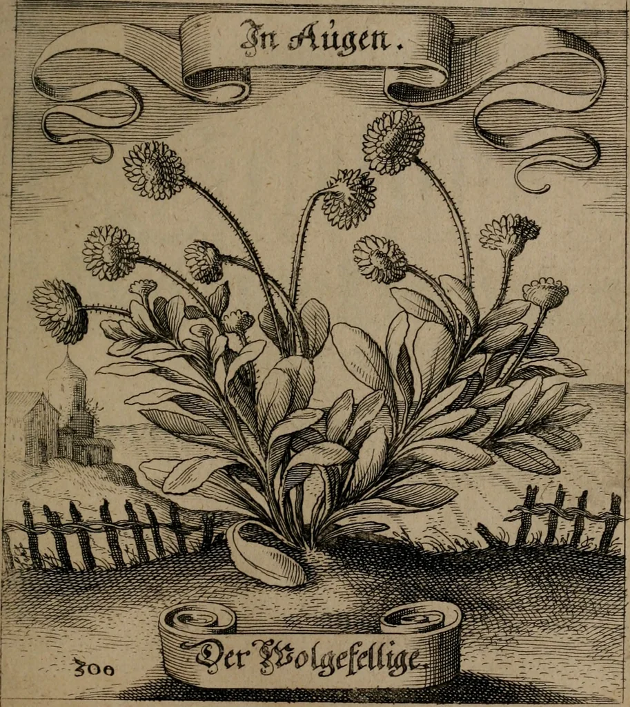 An illustration from Der Fruchtbringenden Geselschaft Nahmen, Vorhaben, Gemählde und Wörter : nach jedes Einnahme ordentlich in Kupfer gestochen, und in achtzeilige Reimgesetze verfasset, 1646, leaf 618