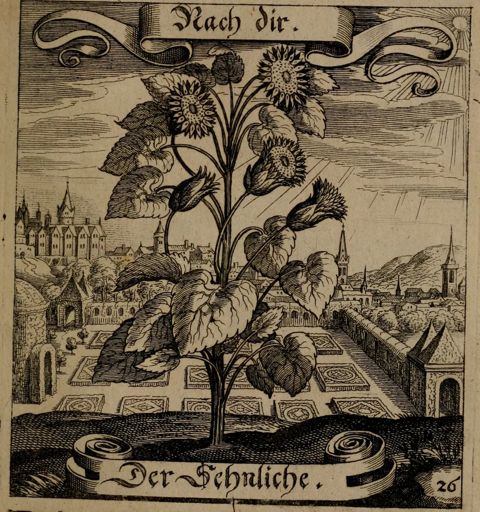 An illustration from Der Fruchtbringenden Geselschaft Nahmen, Vorhaben, Gemählde und Wörter : nach jedes Einnahme ordentlich in Kupfer gestochen, und in achtzeilige Reimgesetze verfasset, 1646, leaf 62