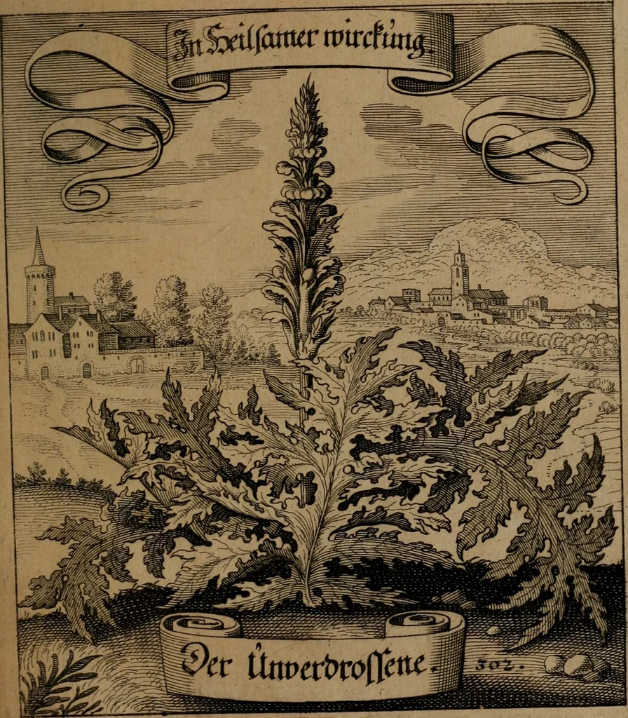An illustration from Der Fruchtbringenden Geselschaft Nahmen, Vorhaben, Gemählde und Wörter : nach jedes Einnahme ordentlich in Kupfer gestochen, und in achtzeilige Reimgesetze verfasset, 1646, leaf 626