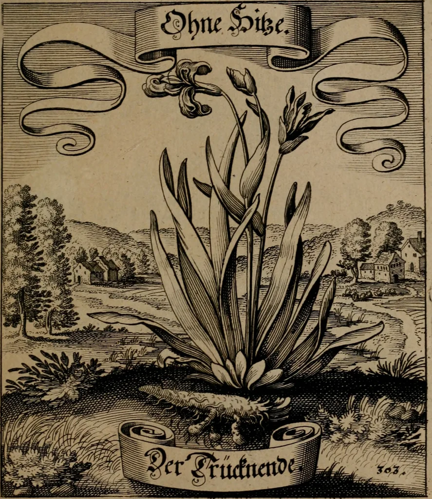 An illustration from Der Fruchtbringenden Geselschaft Nahmen, Vorhaben, Gemählde und Wörter : nach jedes Einnahme ordentlich in Kupfer gestochen, und in achtzeilige Reimgesetze verfasset, 1646, leaf 628