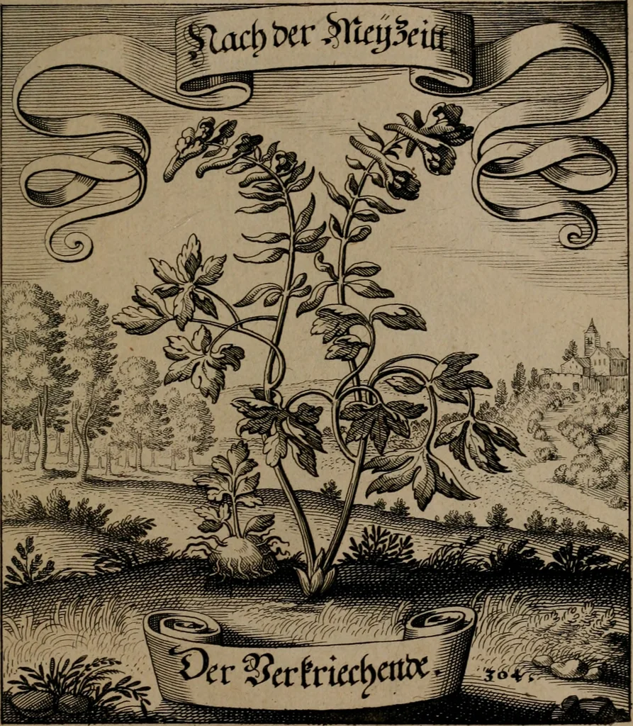 An illustration from Der Fruchtbringenden Geselschaft Nahmen, Vorhaben, Gemählde und Wörter : nach jedes Einnahme ordentlich in Kupfer gestochen, und in achtzeilige Reimgesetze verfasset, 1646, leaf 630