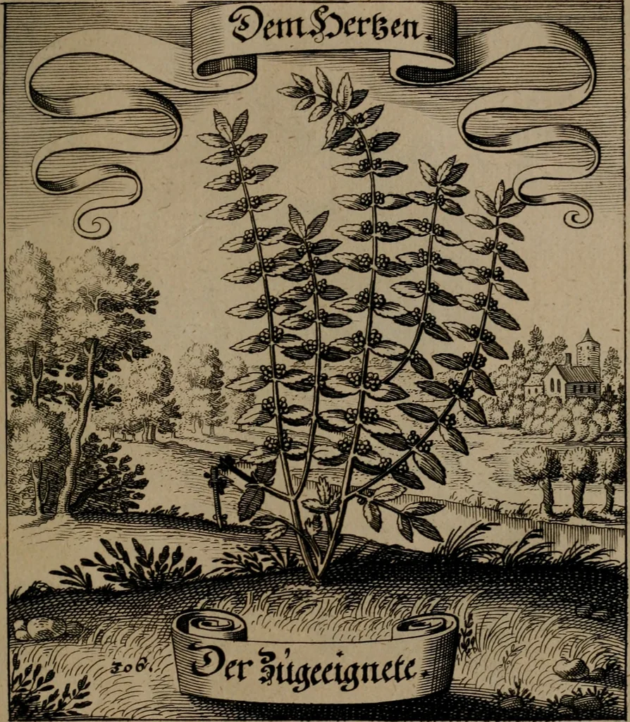 An illustration from Der Fruchtbringenden Geselschaft Nahmen, Vorhaben, Gemählde und Wörter : nach jedes Einnahme ordentlich in Kupfer gestochen, und in achtzeilige Reimgesetze verfasset, 1646, leaf 634