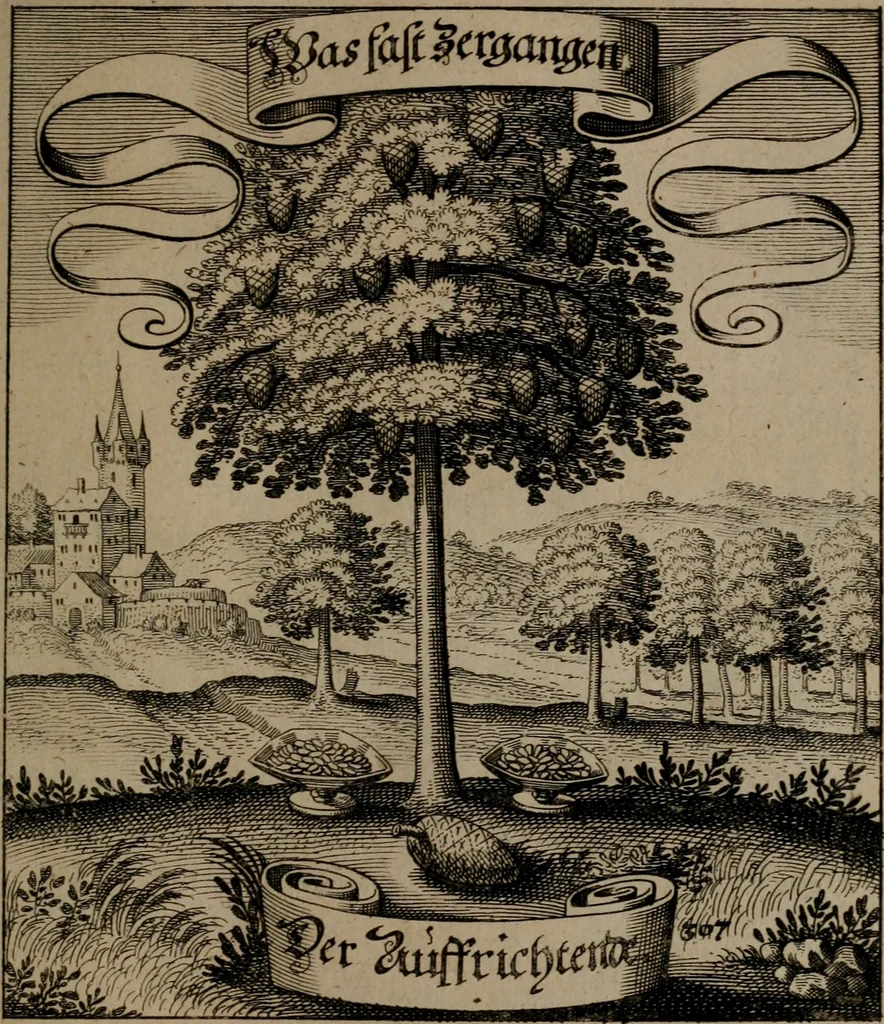 An illustration from Der Fruchtbringenden Geselschaft Nahmen, Vorhaben, Gemählde und Wörter : nach jedes Einnahme ordentlich in Kupfer gestochen, und in achtzeilige Reimgesetze verfasset, 1646, leaf 636
