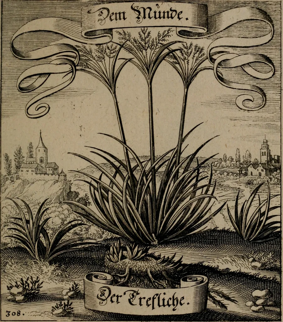 An illustration from Der Fruchtbringenden Geselschaft Nahmen, Vorhaben, Gemählde und Wörter : nach jedes Einnahme ordentlich in Kupfer gestochen, und in achtzeilige Reimgesetze verfasset, 1646, leaf 638