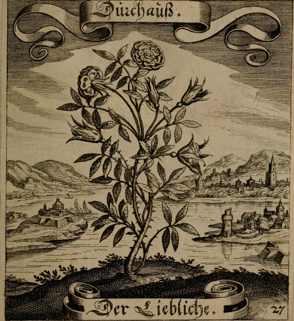 An illustration from Der Fruchtbringenden Geselschaft Nahmen, Vorhaben, Gemählde und Wörter : nach jedes Einnahme ordentlich in Kupfer gestochen, und in achtzeilige Reimgesetze verfasset, 1646, leaf 64