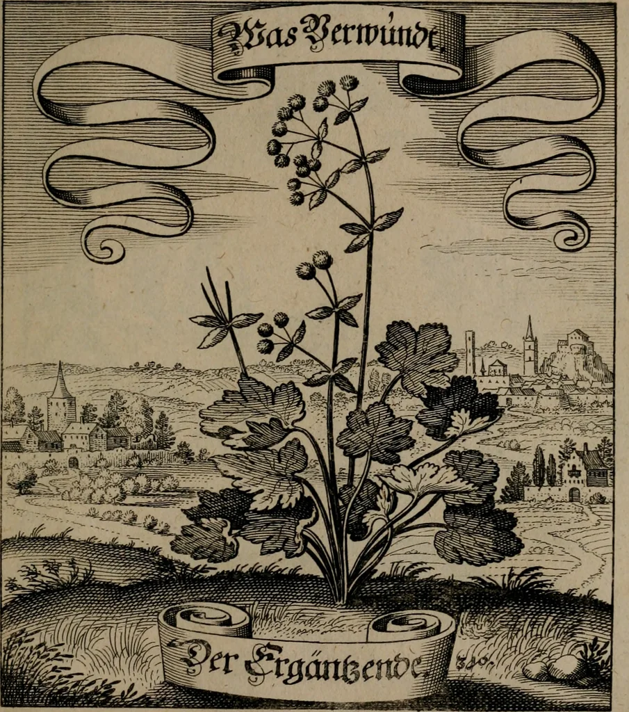 An illustration from Der Fruchtbringenden Geselschaft Nahmen, Vorhaben, Gemählde und Wörter : nach jedes Einnahme ordentlich in Kupfer gestochen, und in achtzeilige Reimgesetze verfasset, 1646, leaf 642