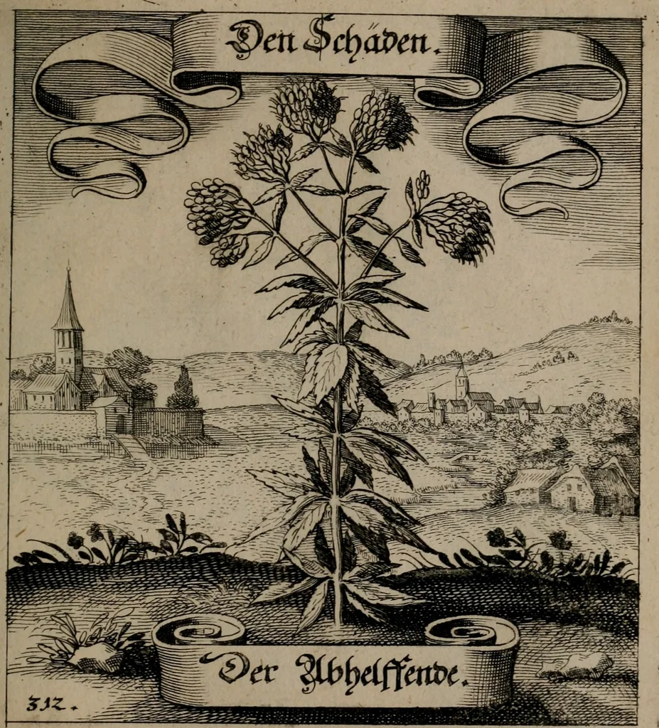 An illustration from Der Fruchtbringenden Geselschaft Nahmen, Vorhaben, Gemählde und Wörter : nach jedes Einnahme ordentlich in Kupfer gestochen, und in achtzeilige Reimgesetze verfasset, 1646, leaf 646