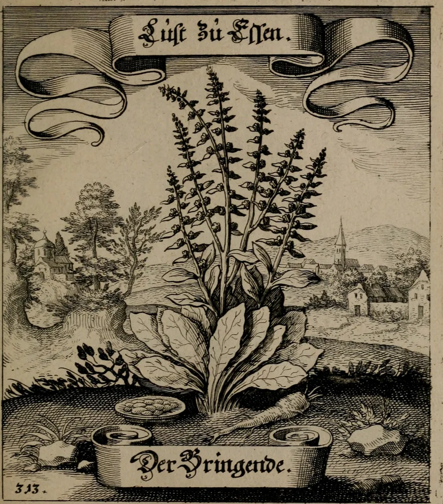 An illustration from Der Fruchtbringenden Geselschaft Nahmen, Vorhaben, Gemählde und Wörter : nach jedes Einnahme ordentlich in Kupfer gestochen, und in achtzeilige Reimgesetze verfasset, 1646, leaf 648