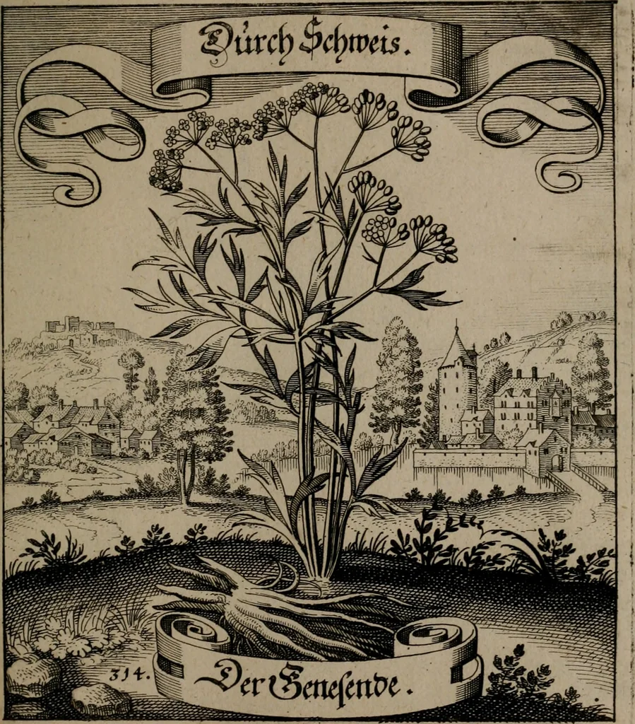 An illustration from Der Fruchtbringenden Geselschaft Nahmen, Vorhaben, Gemählde und Wörter : nach jedes Einnahme ordentlich in Kupfer gestochen, und in achtzeilige Reimgesetze verfasset, 1646, leaf 650