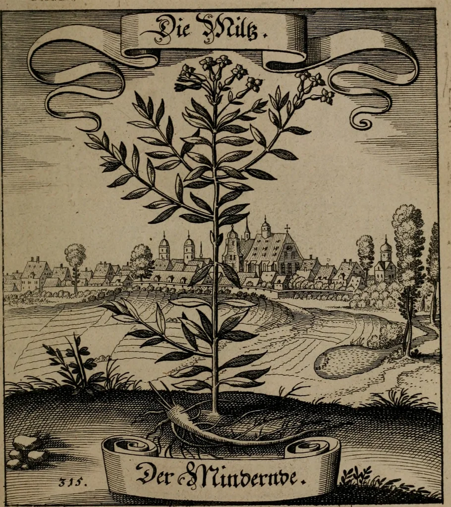 An illustration from Der Fruchtbringenden Geselschaft Nahmen, Vorhaben, Gemählde und Wörter : nach jedes Einnahme ordentlich in Kupfer gestochen, und in achtzeilige Reimgesetze verfasset, 1646, leaf 652