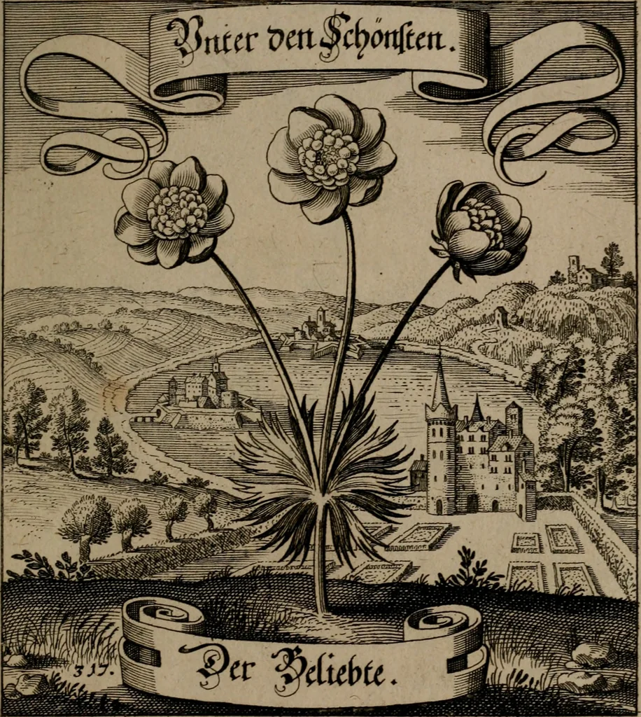 An illustration from Der Fruchtbringenden Geselschaft Nahmen, Vorhaben, Gemählde und Wörter : nach jedes Einnahme ordentlich in Kupfer gestochen, und in achtzeilige Reimgesetze verfasset, 1646, leaf 656
