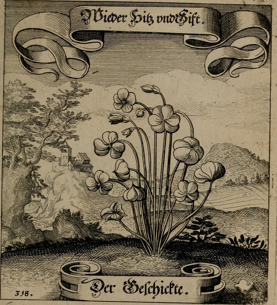 An illustration from Der Fruchtbringenden Geselschaft Nahmen, Vorhaben, Gemählde und Wörter : nach jedes Einnahme ordentlich in Kupfer gestochen, und in achtzeilige Reimgesetze verfasset, 1646, leaf 658