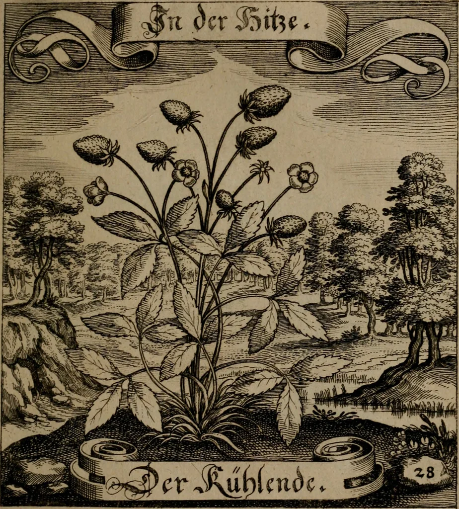 An illustration from Der Fruchtbringenden Geselschaft Nahmen, Vorhaben, Gemählde und Wörter : nach jedes Einnahme ordentlich in Kupfer gestochen, und in achtzeilige Reimgesetze verfasset, 1646, leaf 66